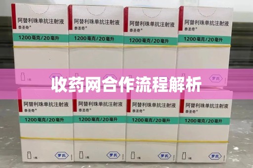 沧州收药网合作流程解析