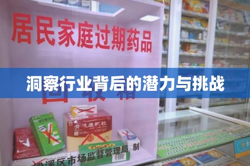 沧州洞察行业背后的潜力与挑战