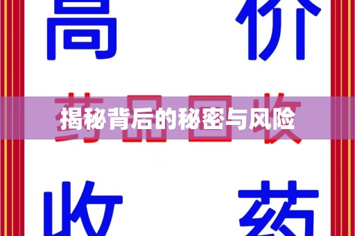 沧州揭秘背后的秘密与风险